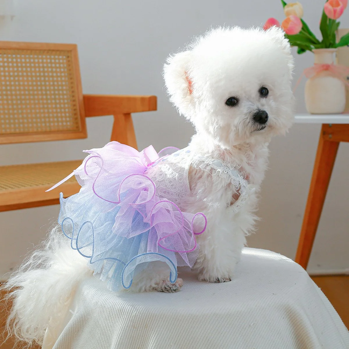 Adorable Mesh Tulle Dog Dress