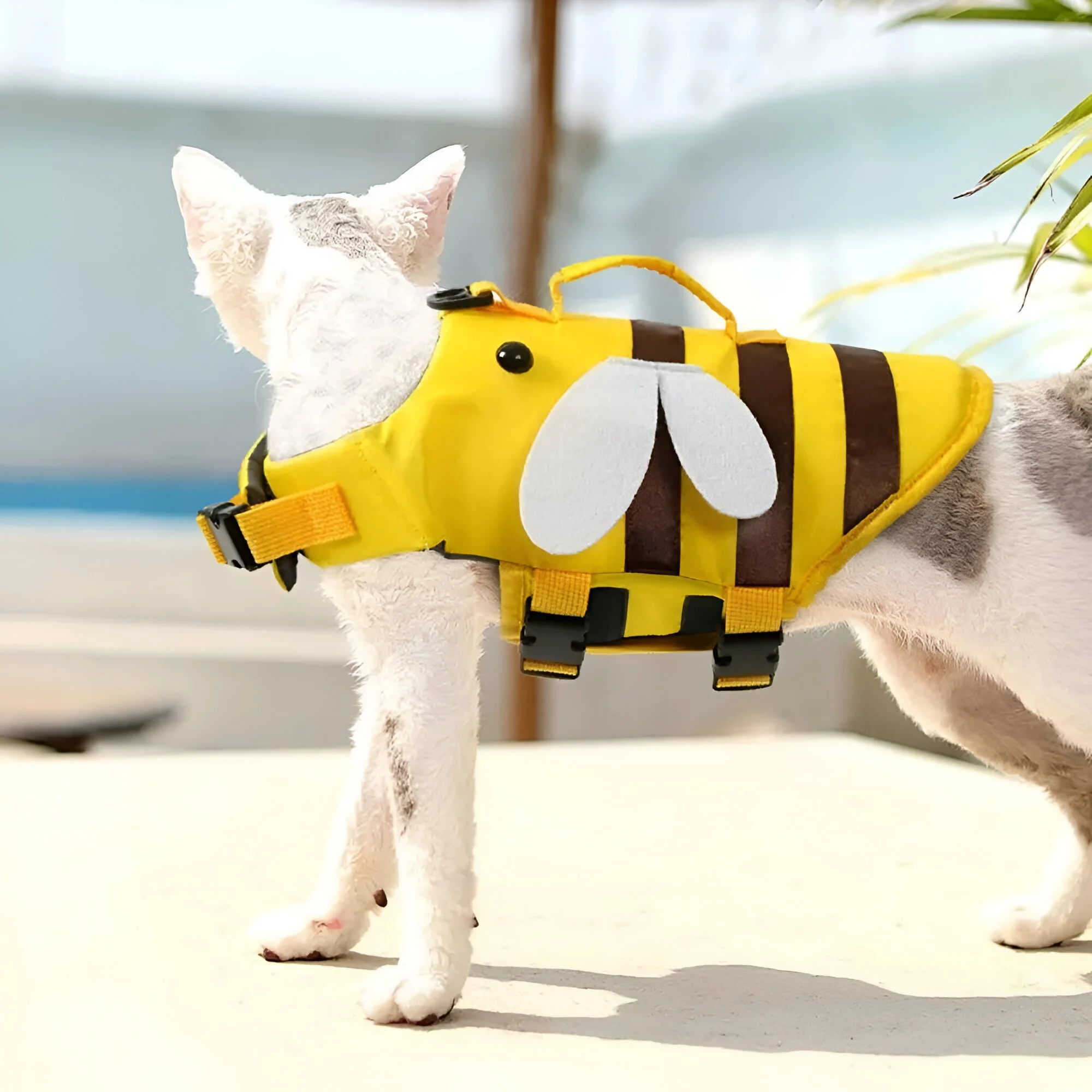 Cute Bee Dog Life Jacket