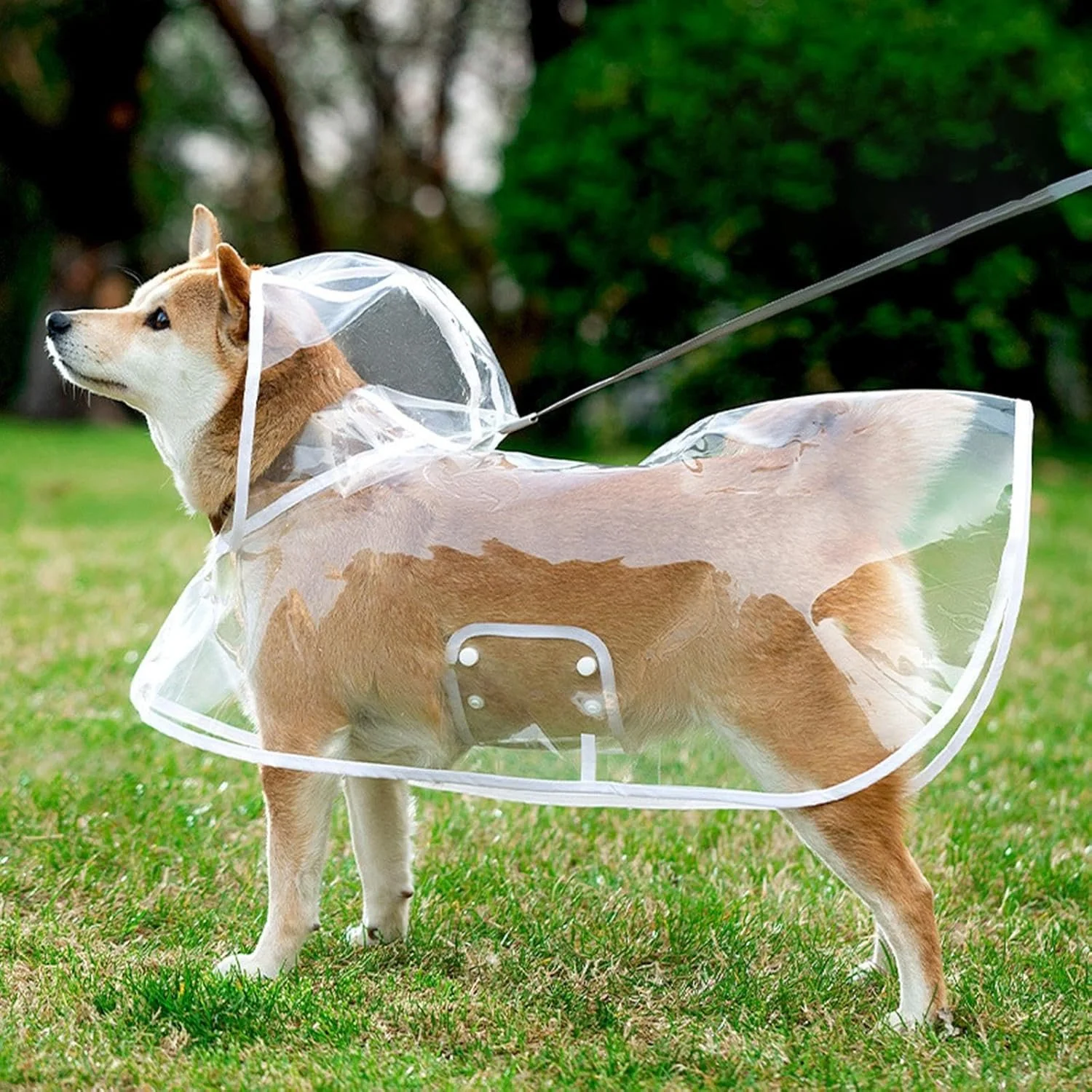 Transparent Waterproof Dog Raincoat with Harness Opening