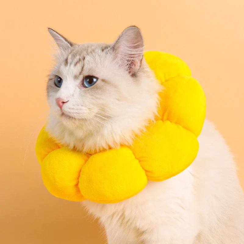Adjustable Sunflower Cat Recovery Collar