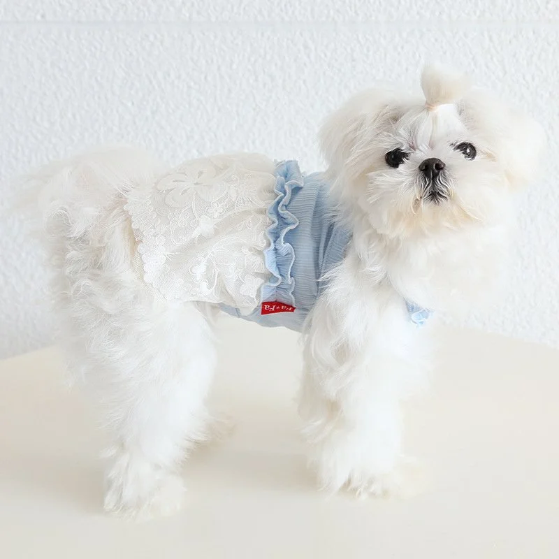Luxury Spring & Summer Dog Dress for Small Breeds