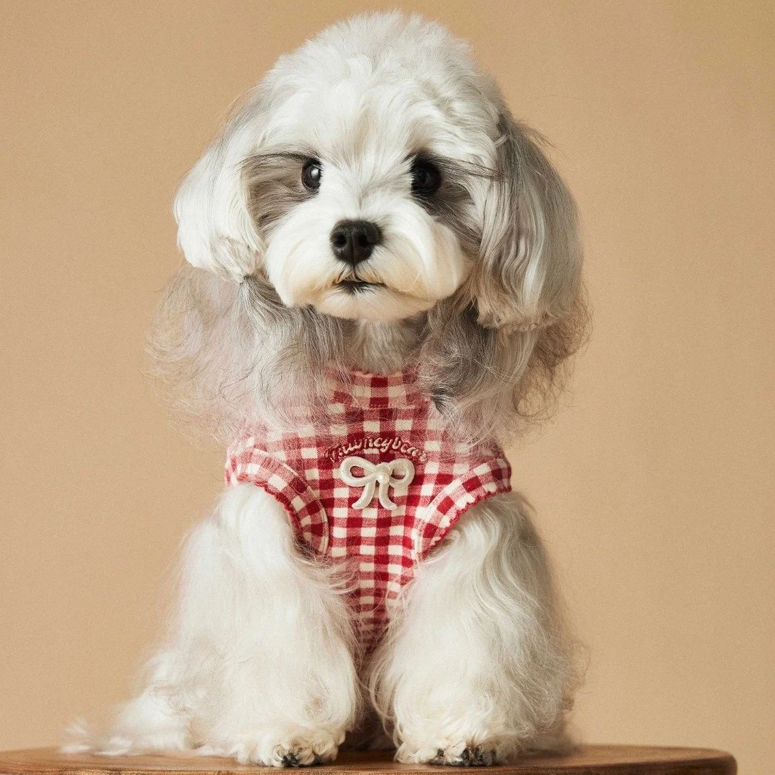 Adorable Sleeveless Dog Cowboy Vest
