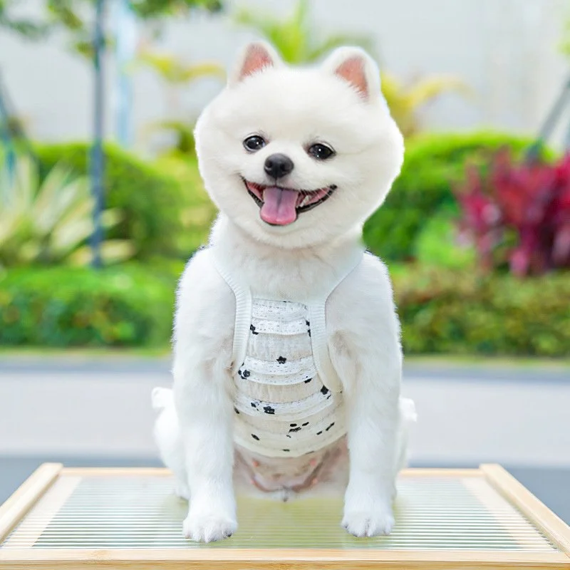 Cute Summer Princess Dress for Small Dogs and Cats