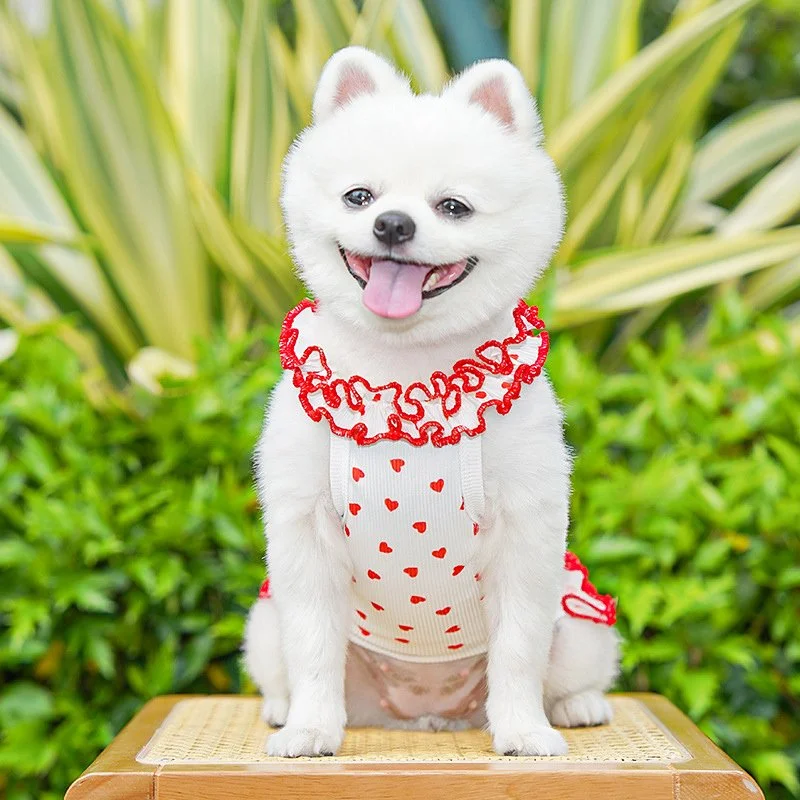 Luxury Summer Dog Dress for Small Breeds
