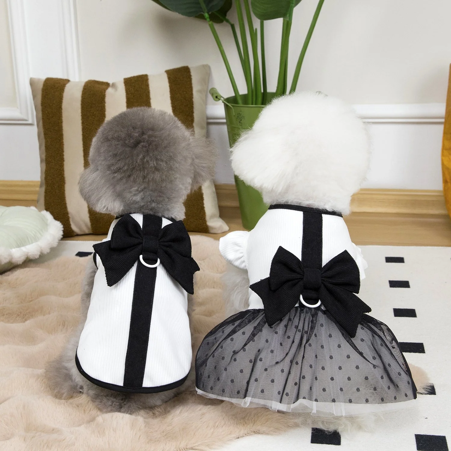 Summer Lace Dog Dress with Bow
