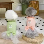 Adorable Lace Dog & Cat Summer Dress