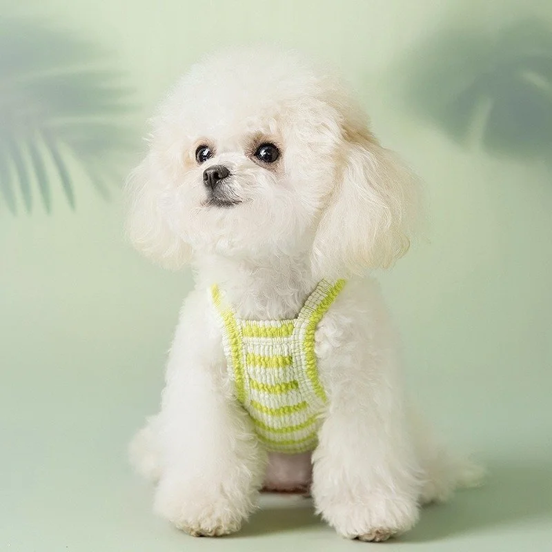 Striped Puppy Vest
