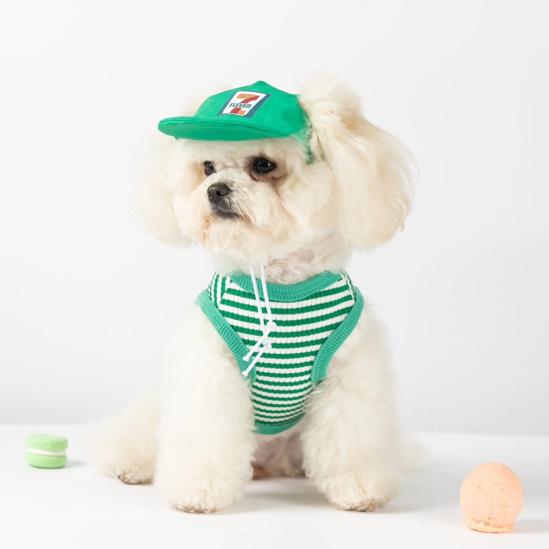 Striped Green Summer Dog Vest with Hat