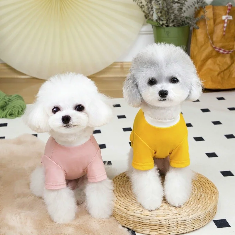Summer Dog T-Shirt with Lion Print & Harness Loop
