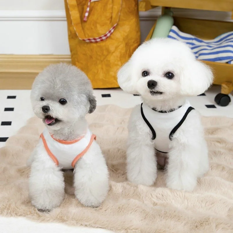 Breathable Cartoon Dog Vest