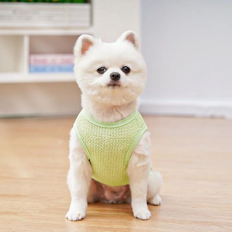 Pink Mesh Summer Dog Vest – Cute Teddy Print, Breathable & Lightweight
