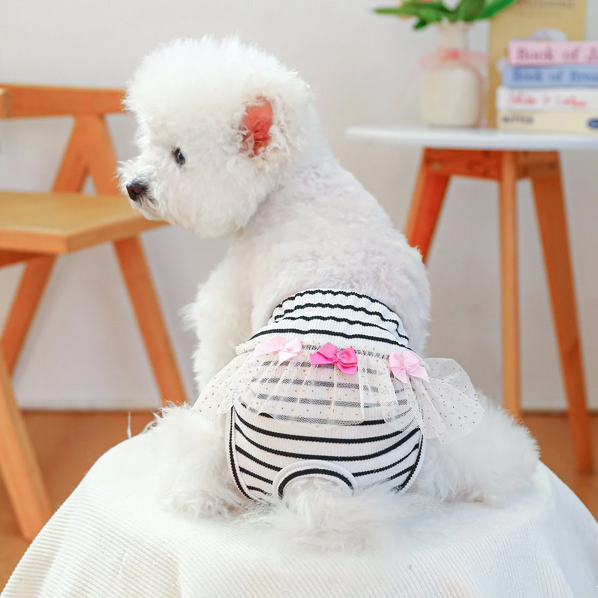 Striped Cotton Dog Panties for Small Breeds – Cute Lace Eco Underwear