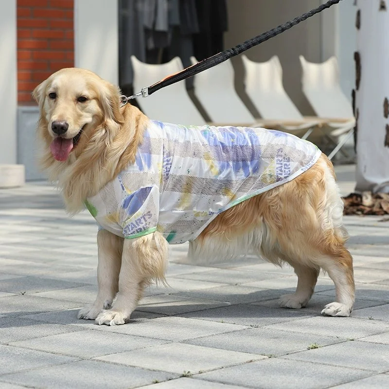 Cooling Mesh Dog Vest for Medium Breeds – Lightweight, Stylish & Breathable