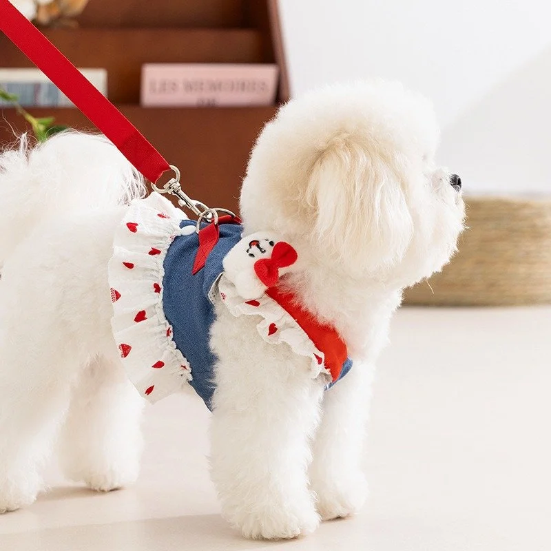 Strawberry Denim Sling Dog Dress with Leash