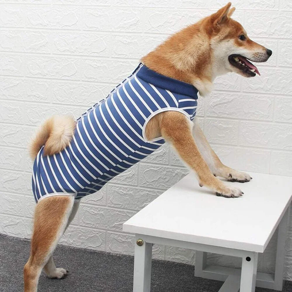 Dog Recovery Suit