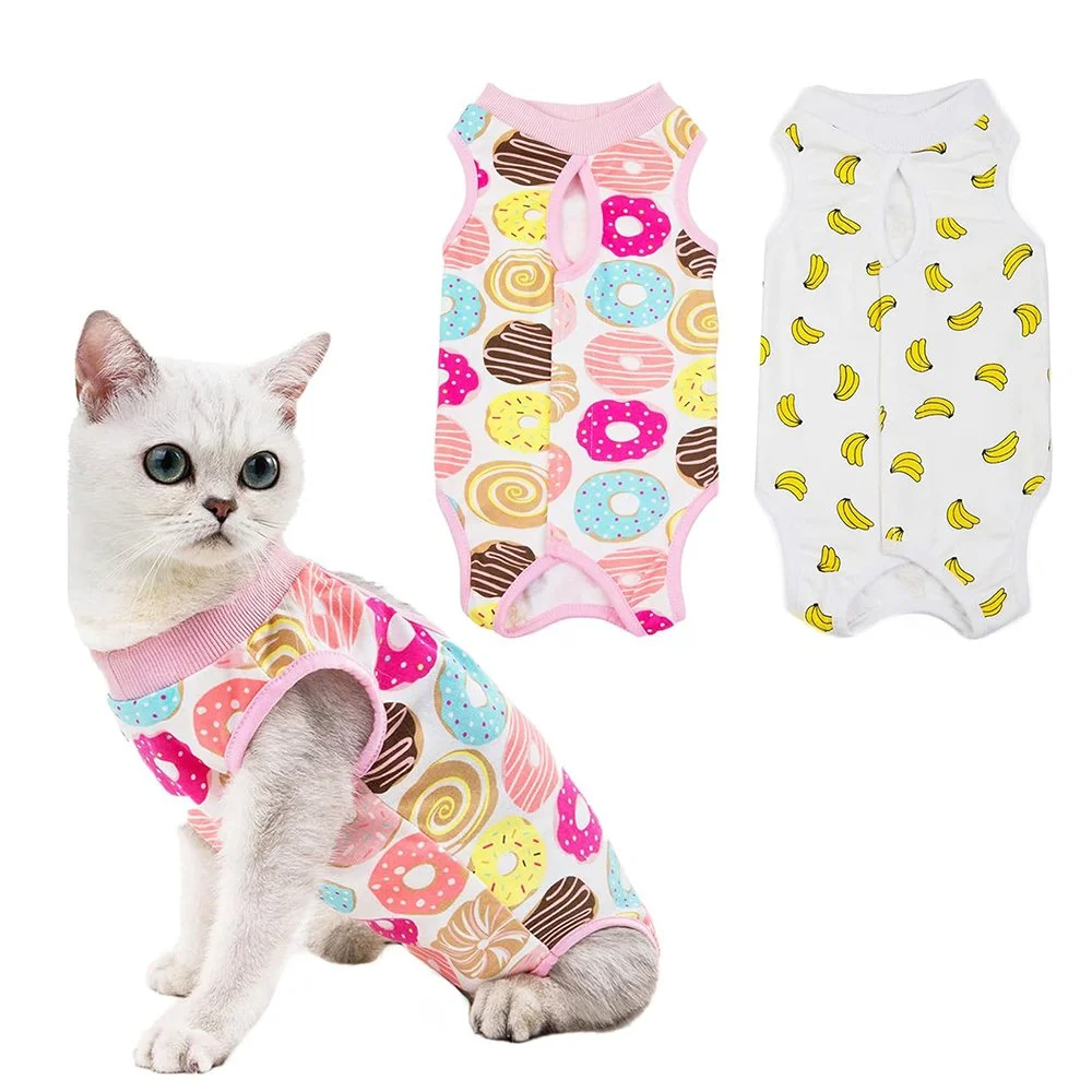 Cat Surgical Recovery Suit