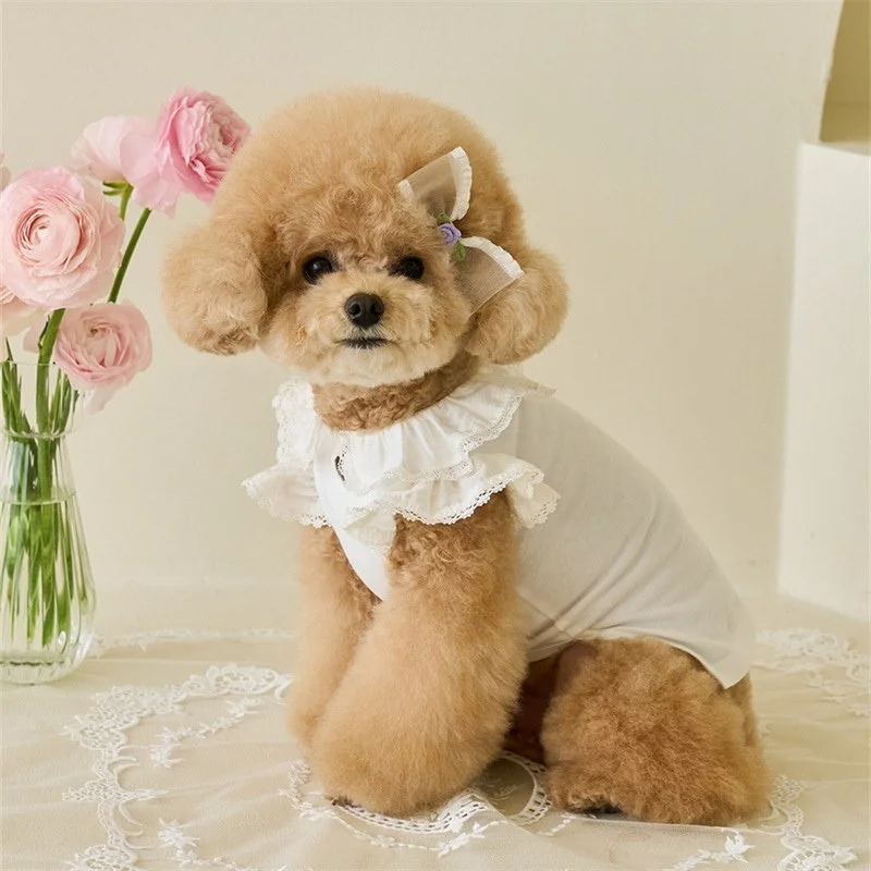 Elegant Lace Sleeve Summer Dress Shirt for Small Dogs & Puppies