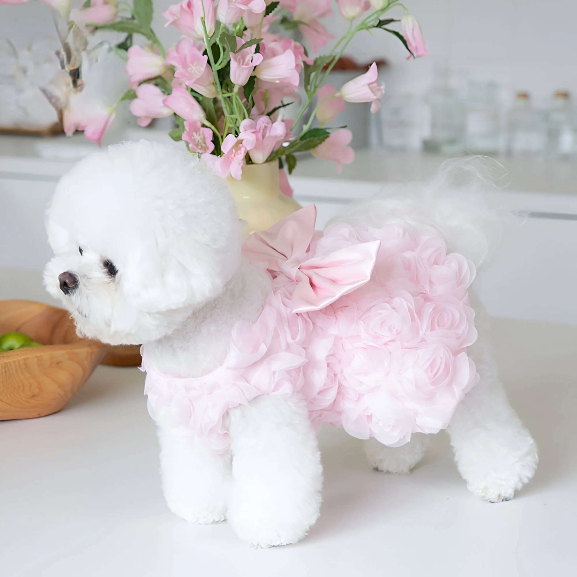 Spring/Summer 3D Rose Bow Dress for Small Dogs & Cats