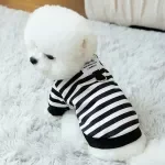 Cozy Striped Dog Sweater for Fall & Winter – Warm Two-Legged Pet Pullover