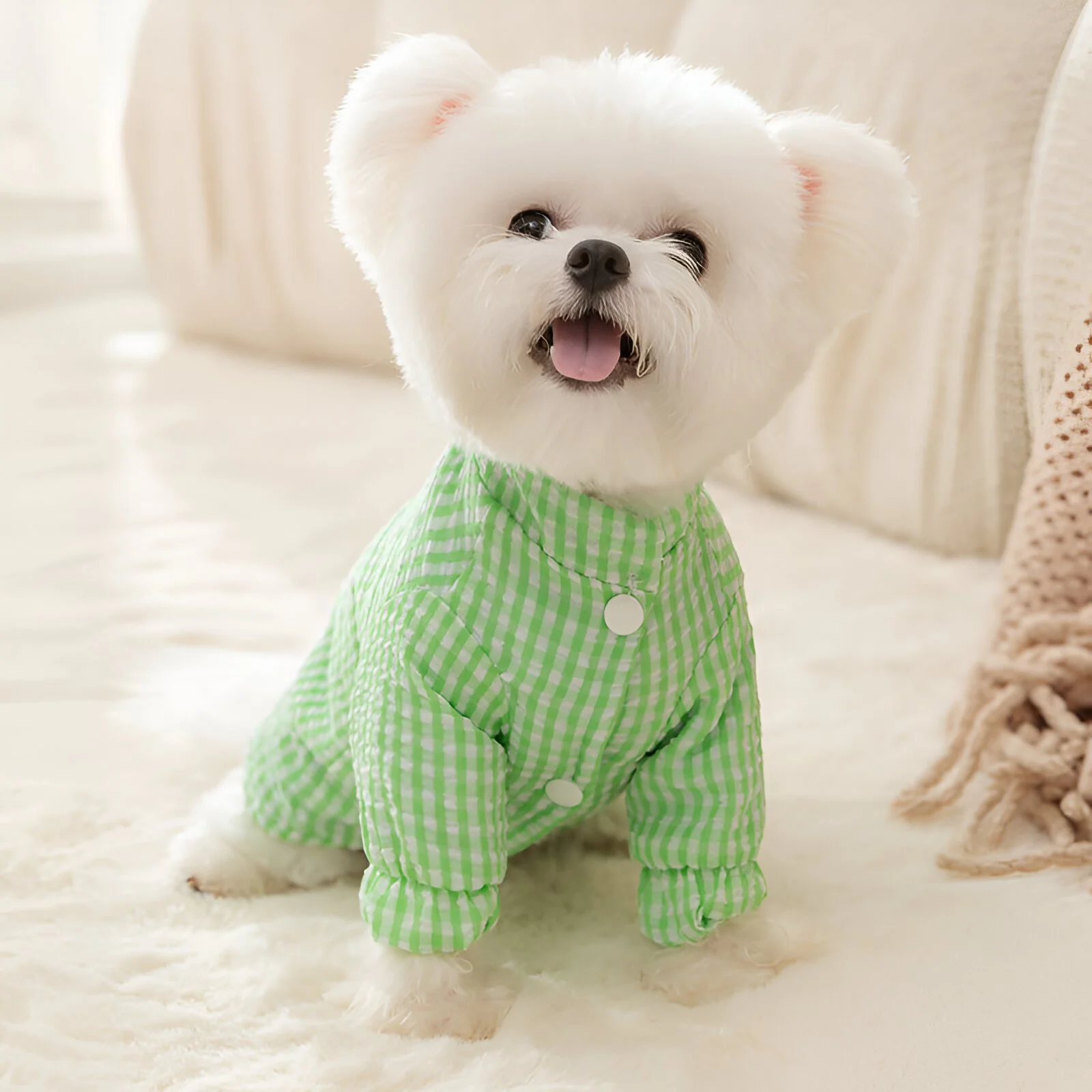 Cozy Green Plaid Dog Coat for Fall & Winter – Warm Two-Leg Puppy Jacket