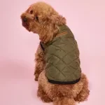 Warm Waterproof Dog Coat with Turtleneck
