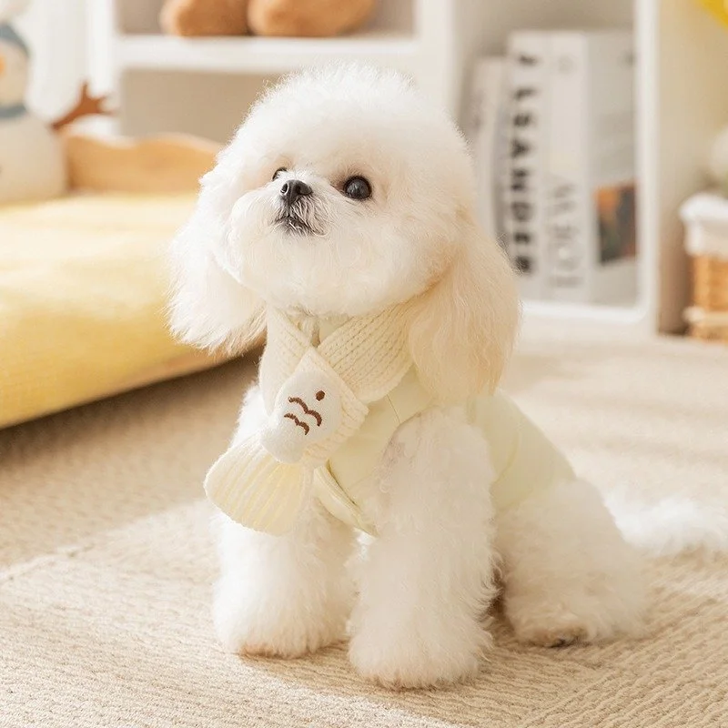 Colorful Embroidered Bear Pet Vest Coat with Scarf – Warm Outfit for Small Dogs