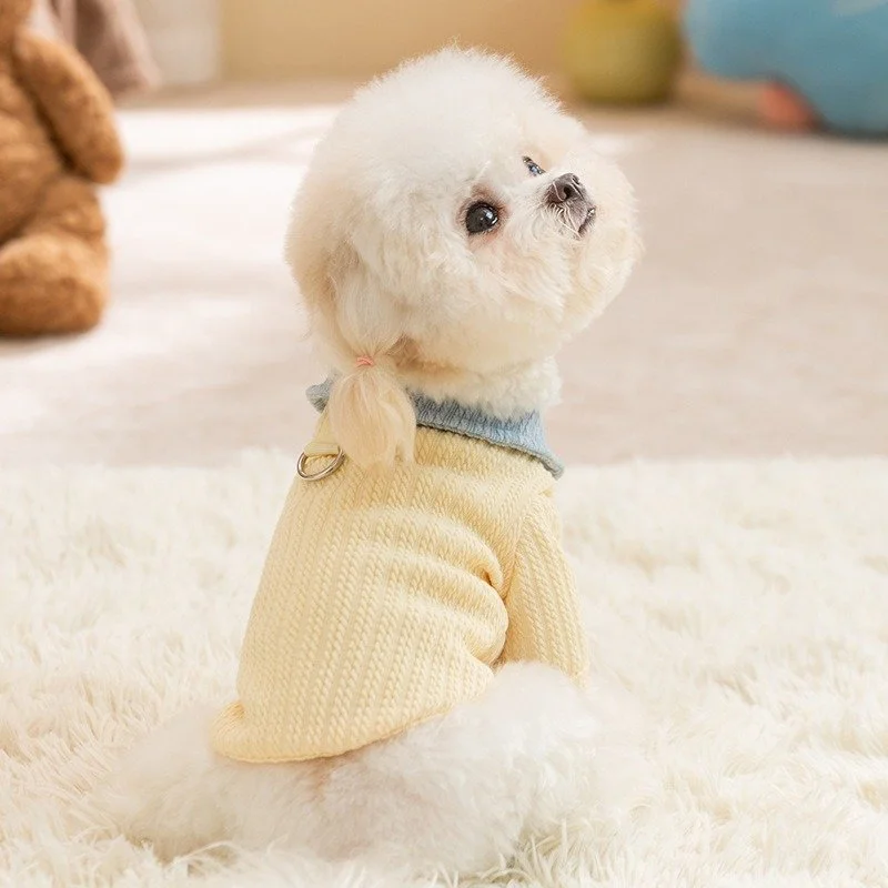 Warm Color Block Dog Undershirt for Small and Medium Breeds – Cozy Two-Leg Pullover