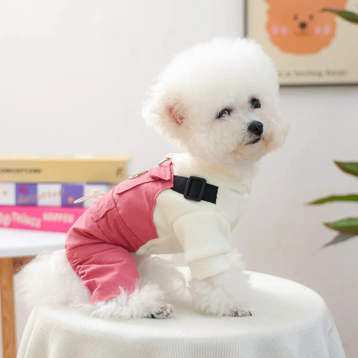 Fashionable Pet Dog Suspenders Overall for Small Breeds – XS to XL