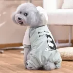 Windbreaker Cat Overall for Dogs - Warm Hoodie Down Jacket Coat