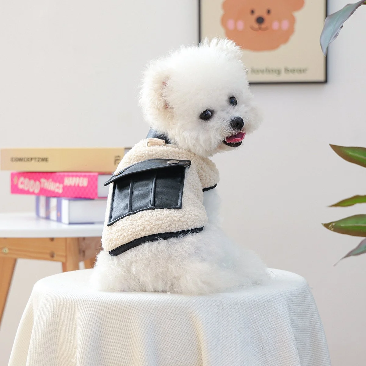 Cozy PU Pocket Chihuahua Jacket for Small Dogs & Cats – Warm Autumn Vest