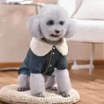 Raccoon Dog Jacket & Coat with Fur Collar - Small & Medium Dogs