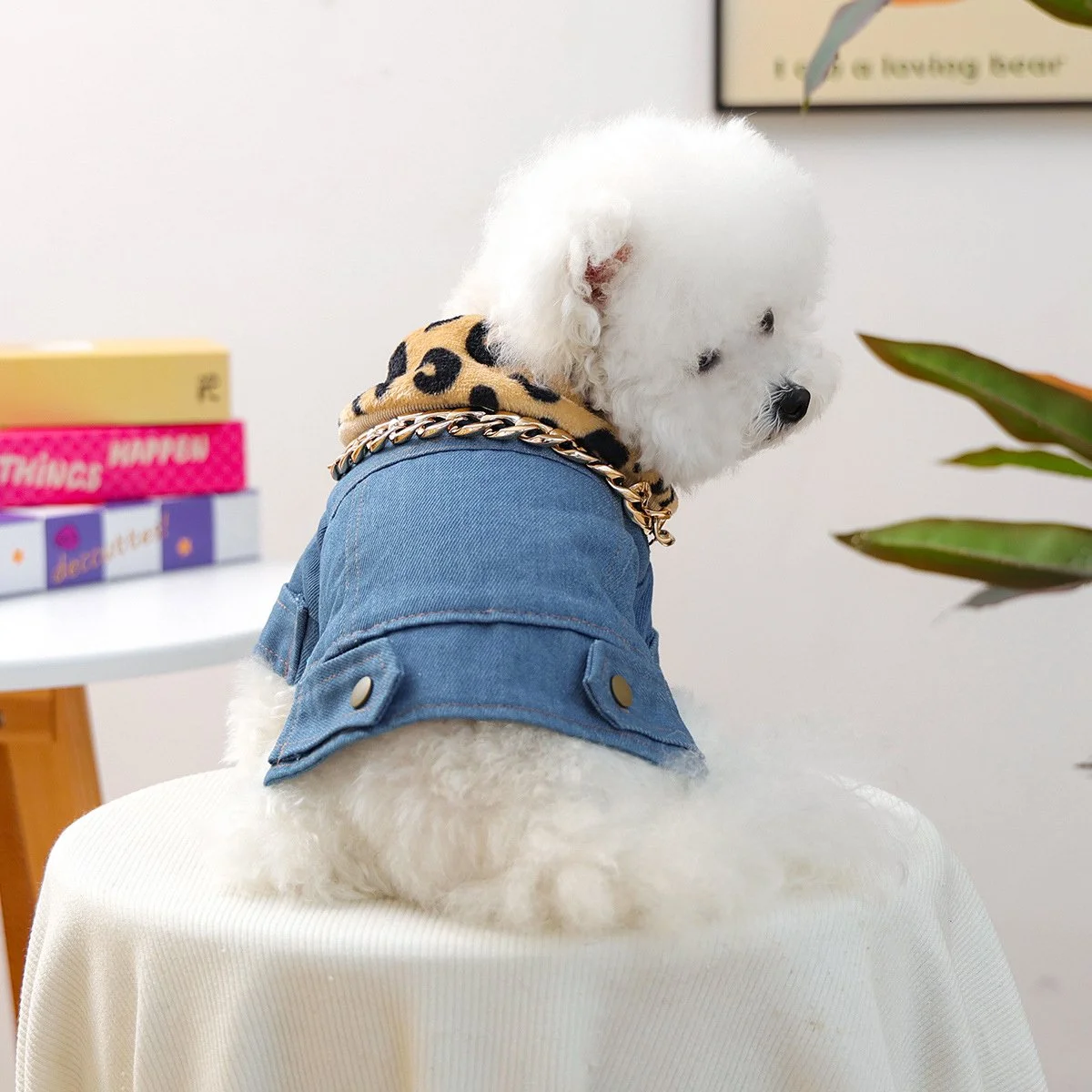Fur Collar Denim Jacket for Dogs & Cats - Autumn Warm Pet Coat