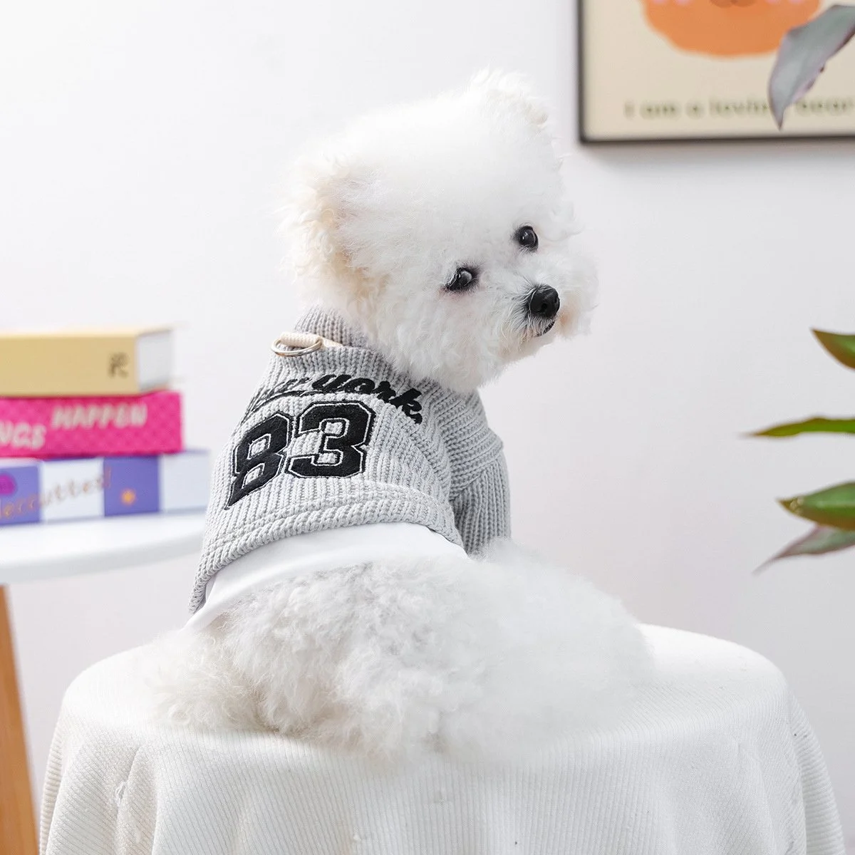 Sporty Knitted Sweatshirt for Dogs – Autumn Pet Coat & Harness