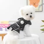 Luxury Designer Dog Coat with Pearl Pocket – Autumn Puppy Dress for Girls