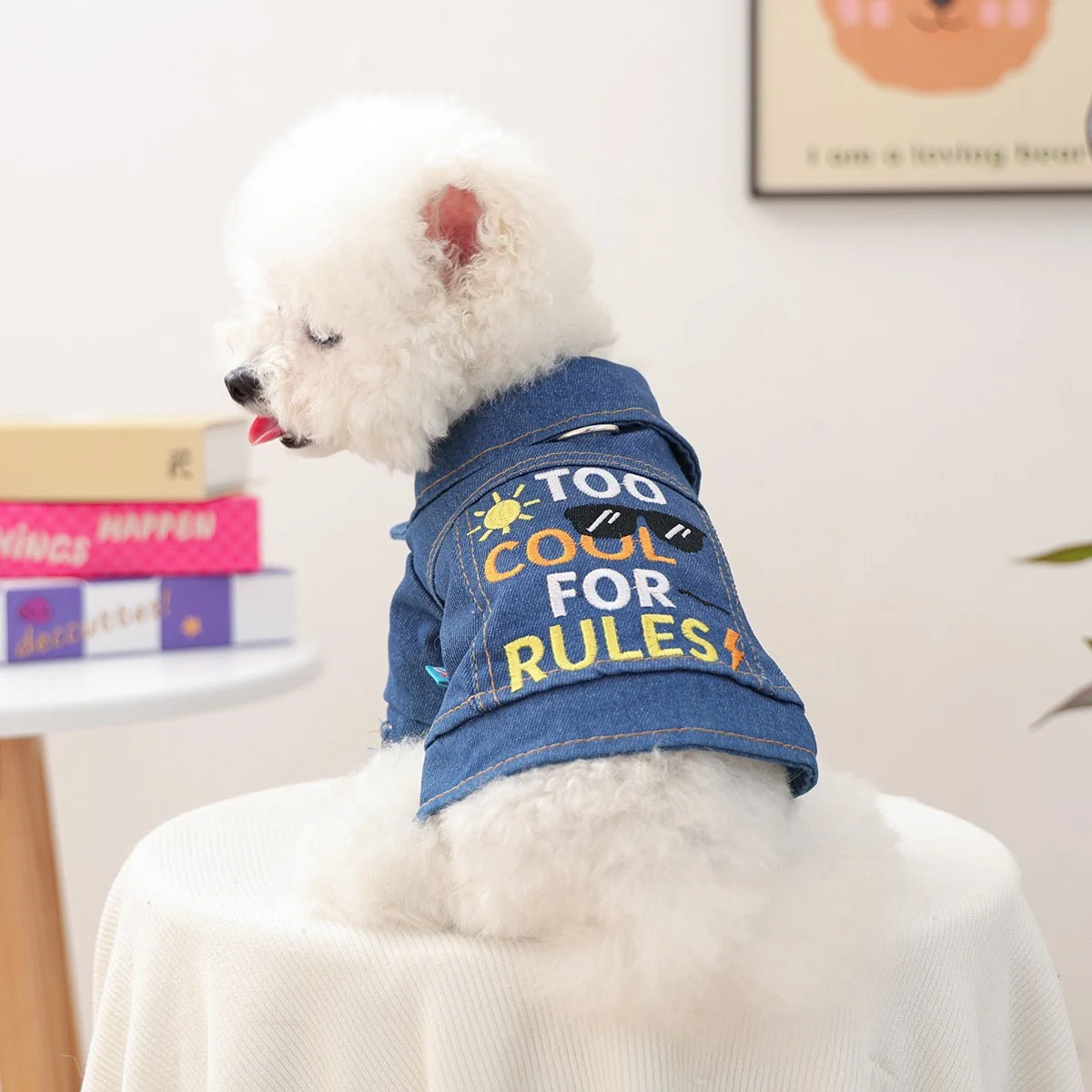 Denim Dog Harness Jacket – Coat for Small Dogs & Cats (XS–XL)