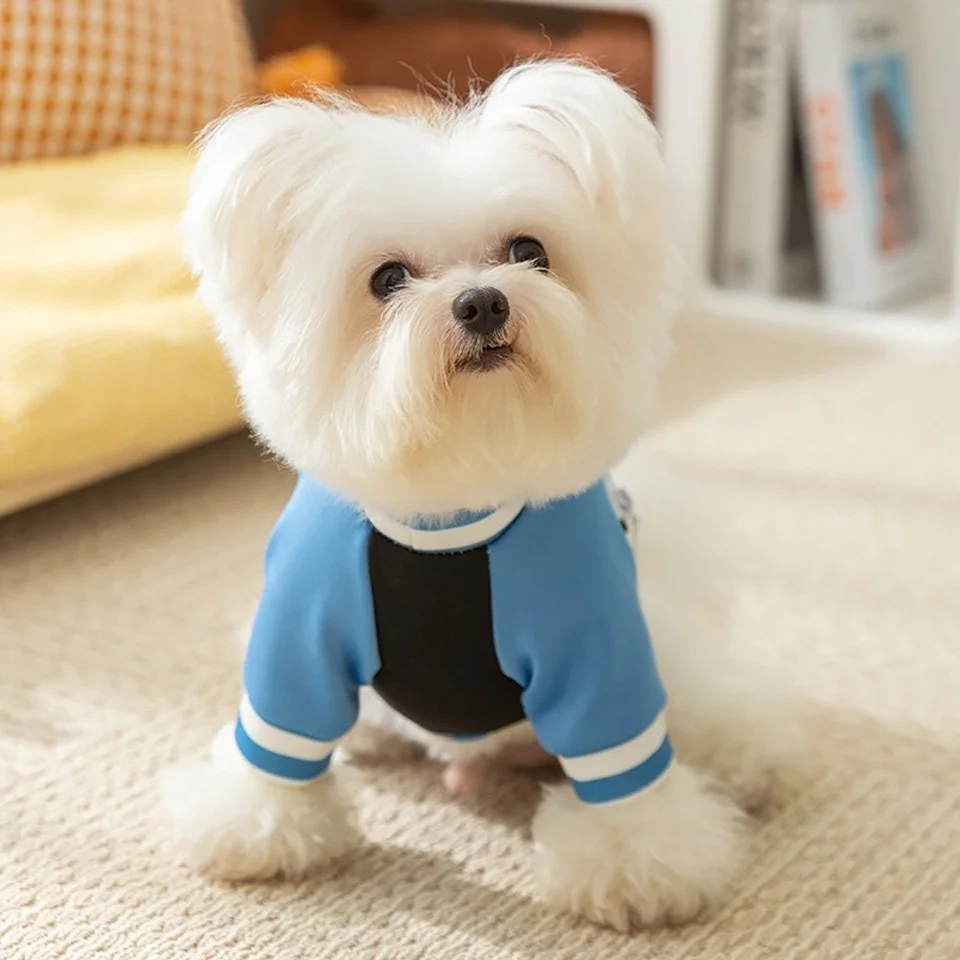 Cool Style Dog Hoodie with Satchel