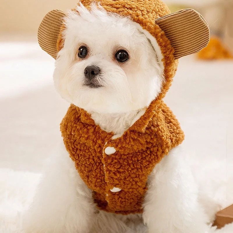 Cute Teddy Hoodie for Dogs - Sleeveless Winter Sweatshirt