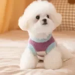 Cozy Dog Sweater – Floral Stripes Warm Knit for Small Dogs