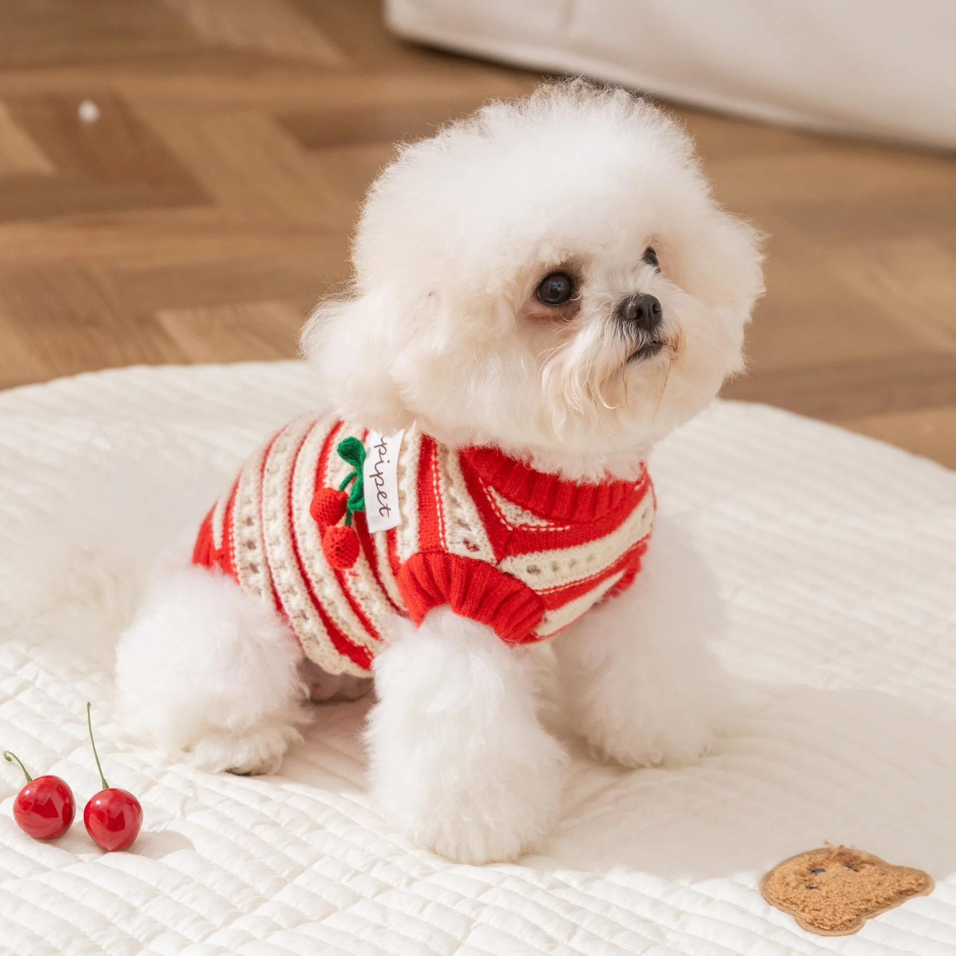 Autumn Red Cherry Striped Dog Sweater for Small Dogs and Puppies