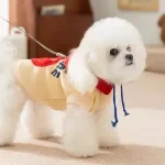 Cozy Hooded Dog Sweatshirt for Autumn - Small Dog Clothes