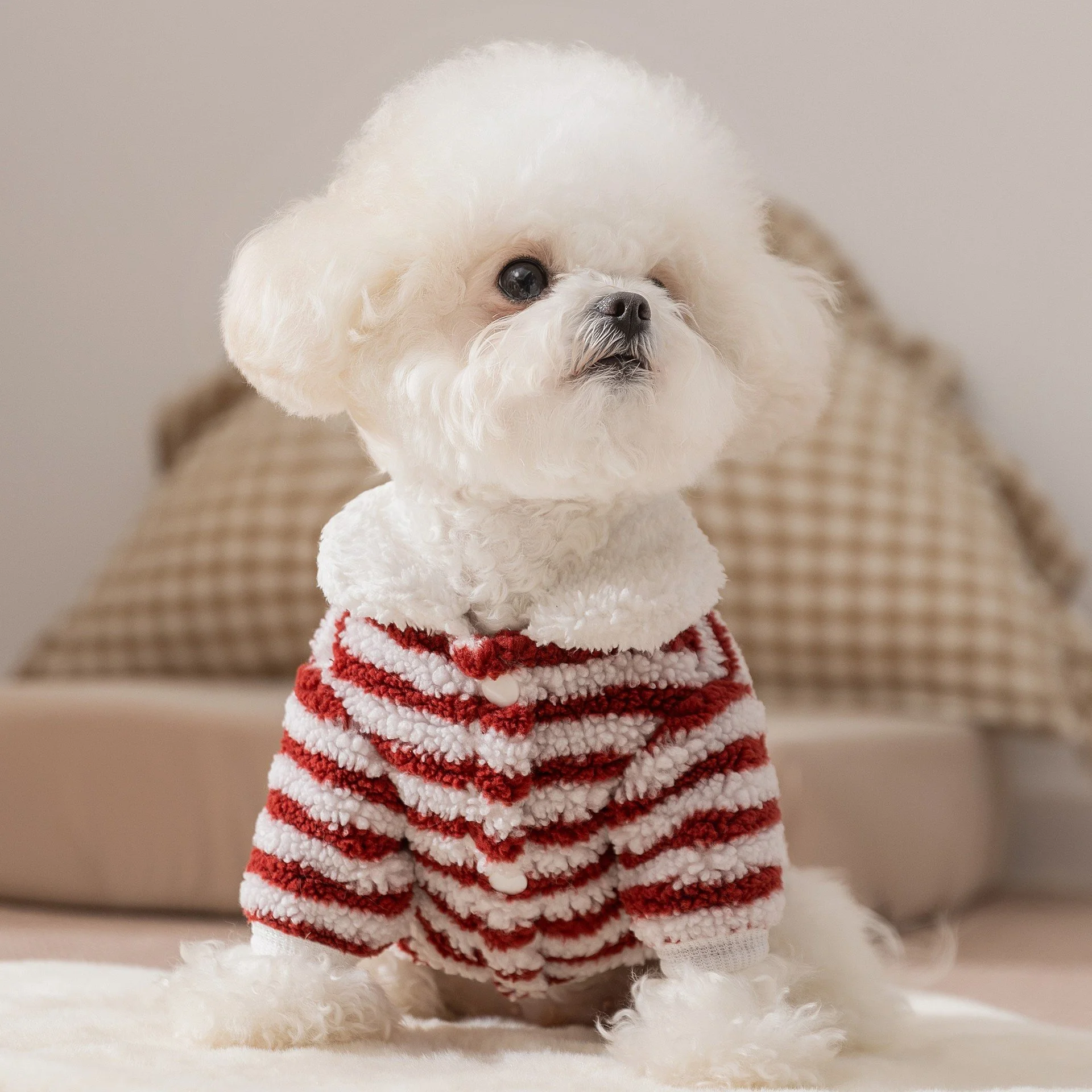 Striped Velvet Dog Coat for Small Dogs