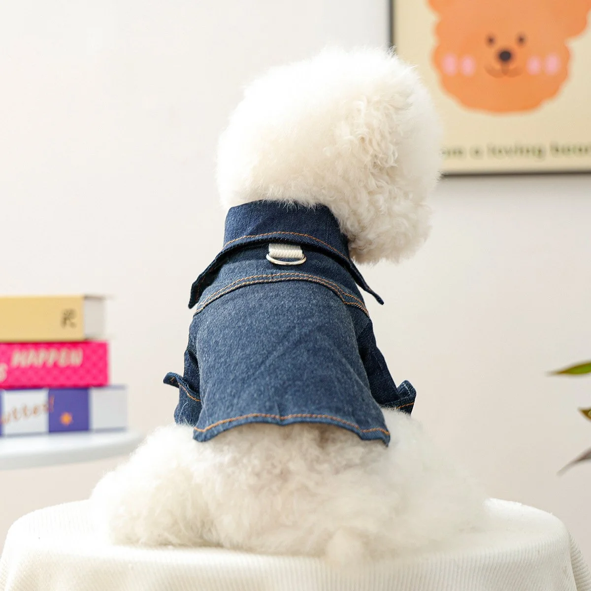 Warm Denim Jacket for Small Dogs and Cats