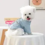 Autumn Denim Jacket for Small Dogs and Cats – Warm Puppy Clothes