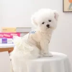 Autumn Dog Dress with Bow and Mesh Skirt for Small Dogs & Cats