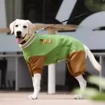 Cozy Satin Dog Sweater for Large Breeds