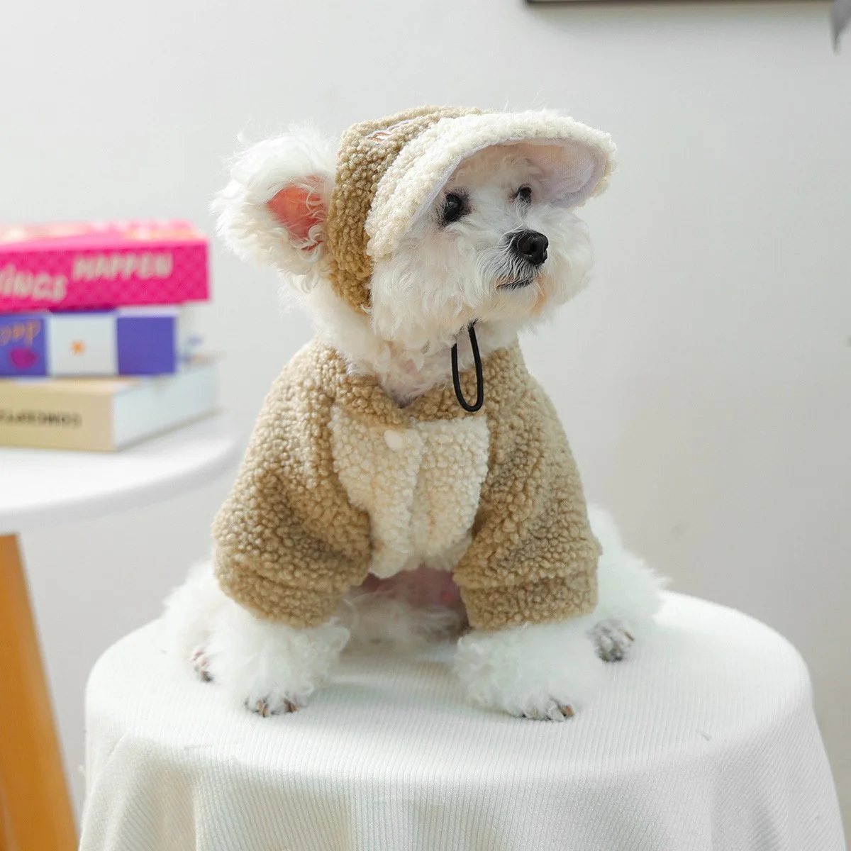 Cozy Lamb Wool High Neck Hoodie for Small Dogs & Cats