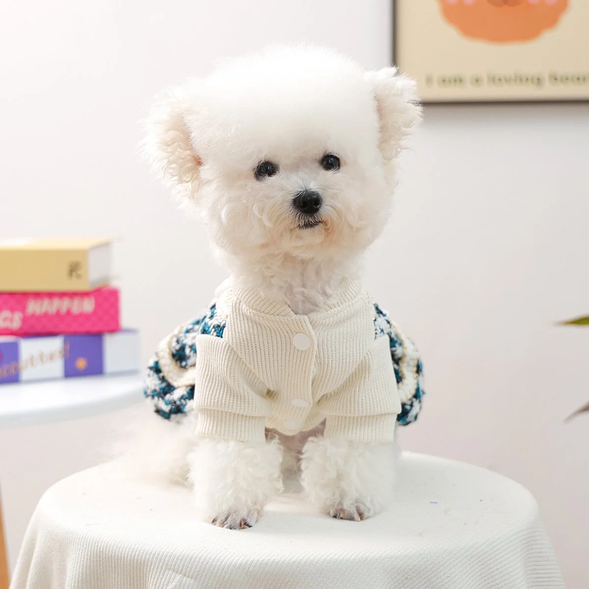 Elegant Blue Dog Dress with White Lace & Pearl Bow – Princess Style
