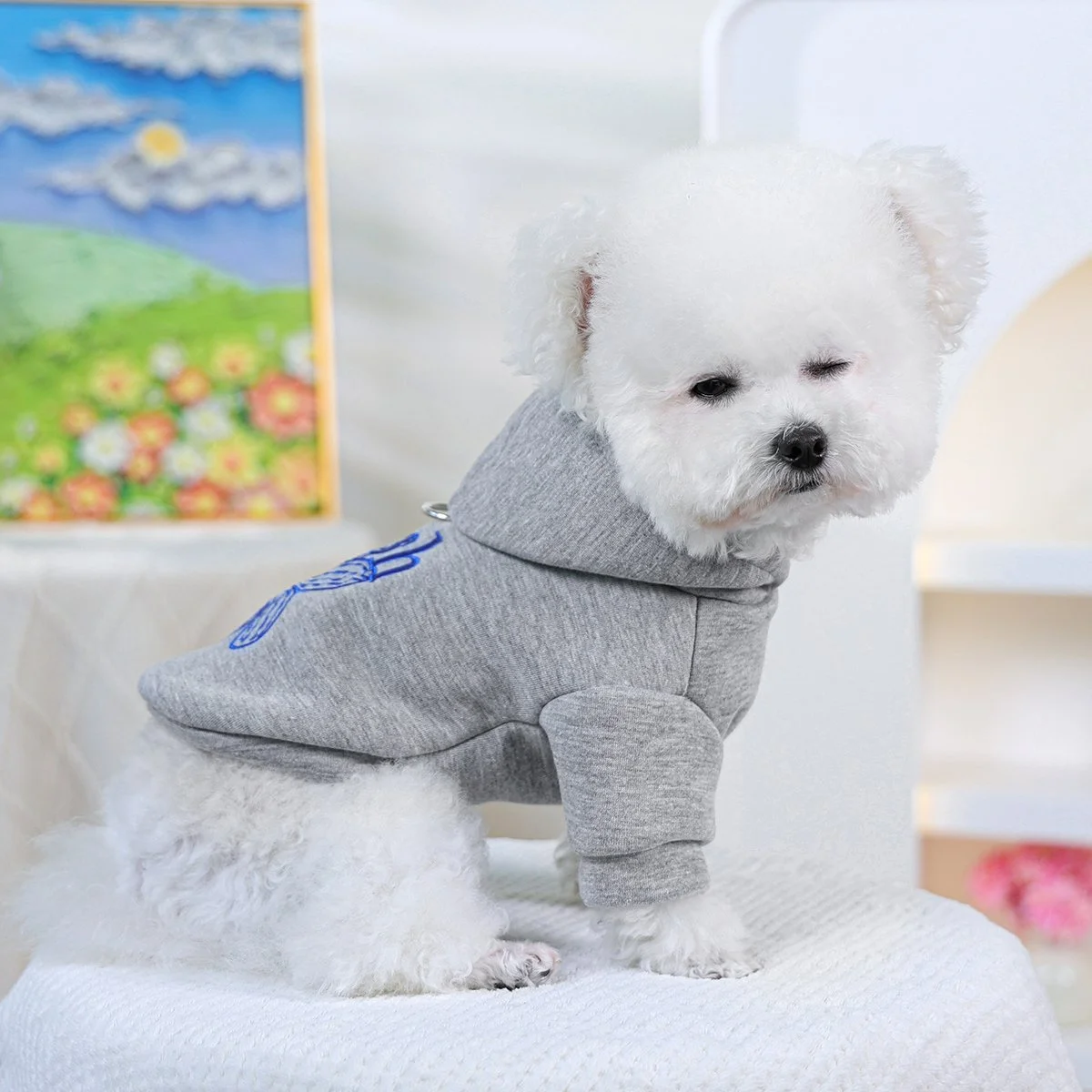 Cozy Pet Hoodie Sweater – Gray Pullover with Blue Daisy Embroidery