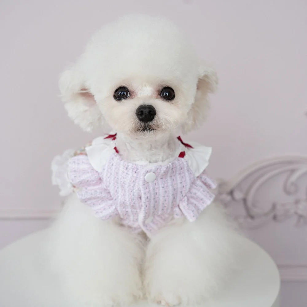 Cozy Floral Maid Dog Dress for Autumn & Winter