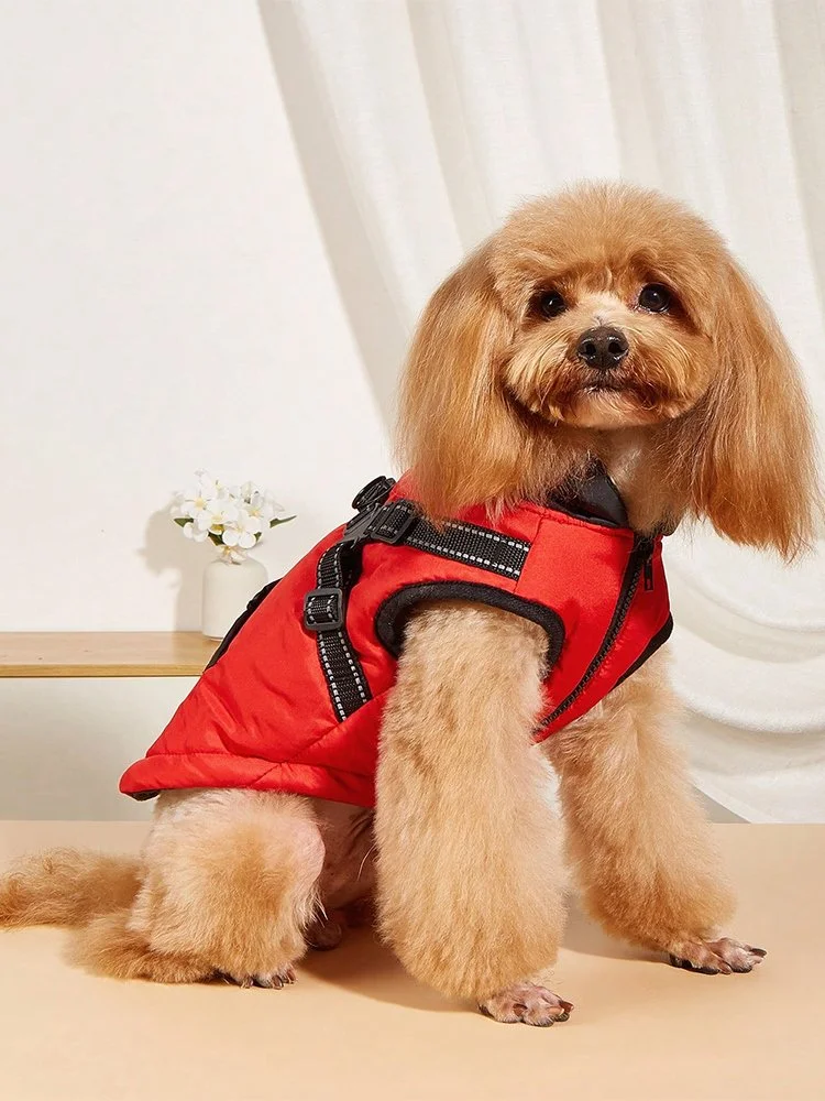 Warm Winter Dog Hoodie Coat for Small to Large Dogs